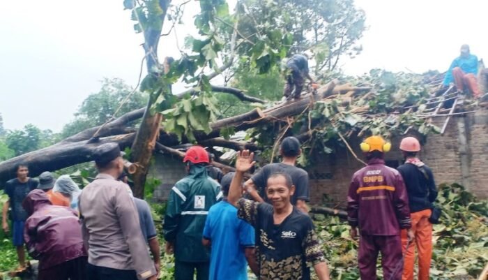 Hujan Deras Disertai Angin Kencang di Boyolali, Pohon Tumbang Timpa Rumah Warga