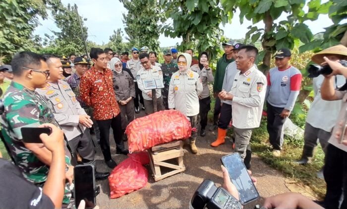 Dukung Swasembada Pangan, Kapolres Bersama Bupati Sukoharjo Panen Jagung