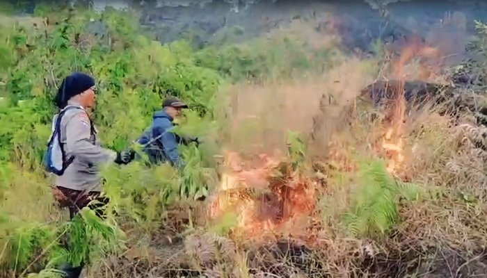 Kebakaran di Lereng Arjuno Berhasil Dipadamkan, Polisi Lakukan Investigasi