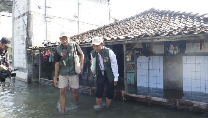 Meski Dilanda Banjir Rob, Tim Pantarlih Demak Tetap Lakukan Coklit untuk Pilkada 2024