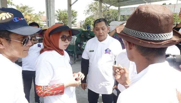 Panen Raya Sorgum di Desa Raji, Bupati Demak Apresiasi Upaya Pertanian Inovatif