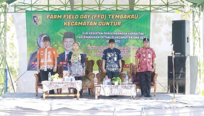 Harga Tembakau Menurun, Pemkab Demak Beri Sinyal Potensi Hilangnya Generasi Petani Penerus